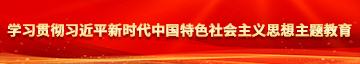 插进小穴内好爽在线观看学习贯彻习近平新时代中国特色社会主义思想主题教育